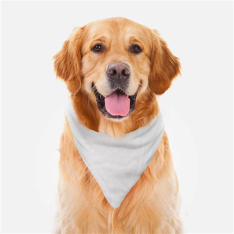 Dog Bandana PM 